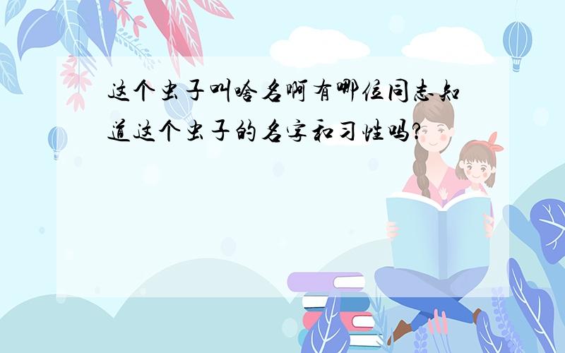 这个虫子叫啥名啊有哪位同志知道这个虫子的名字和习性吗?