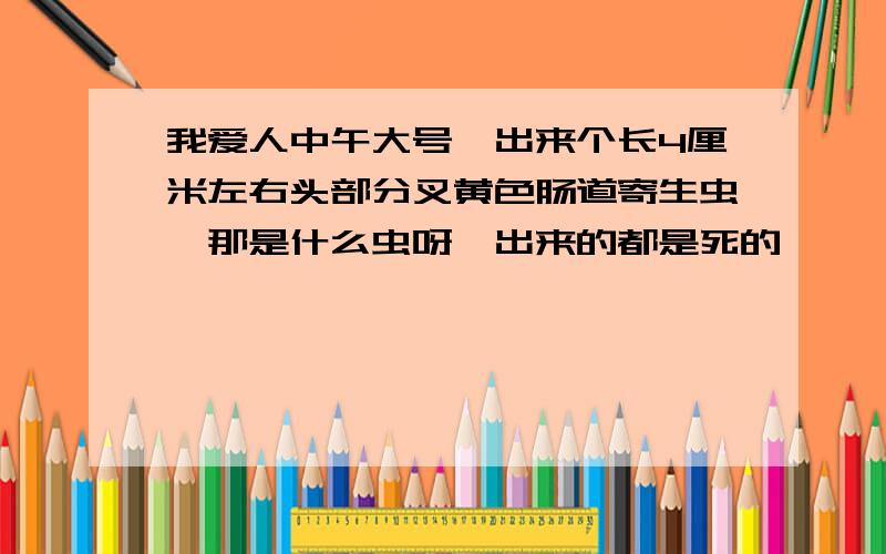 我爱人中午大号,出来个长4厘米左右头部分叉黄色肠道寄生虫,那是什么虫呀,出来的都是死的