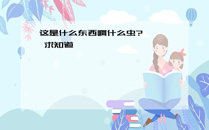 这是什么东西啊什么虫?    求知道