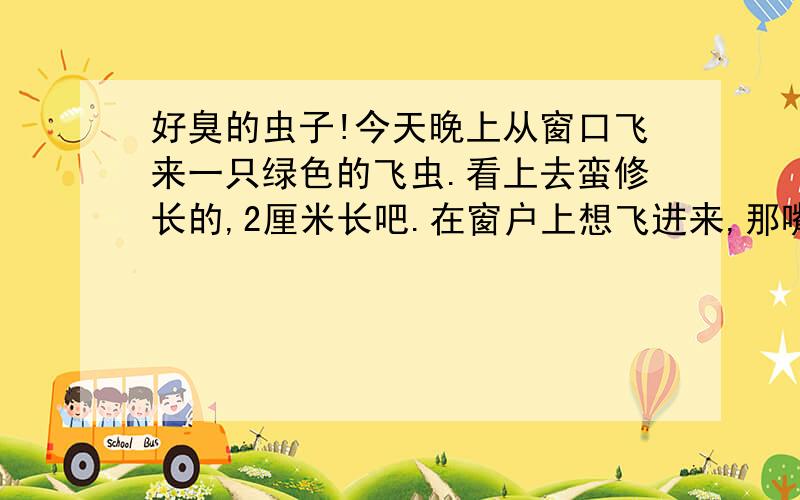 好臭的虫子!今天晚上从窗口飞来一只绿色的飞虫.看上去蛮修长的,2厘米长吧.在窗户上想飞进来,那嘴巴一直在弯来弯去的··看上去又有点恶心·我拿了一把尺子想把它弄出去,没想到一不用力