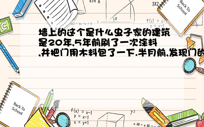 墙上的这个是什么虫子家的建筑是20年,5年前刷了一次涂料,并把门用木料包了一下.半月前,发现门的右上角（20CM的地方）有一条筷子粗细的黑色类似石灰浆的东西,清除后,只留有一条痕迹.今