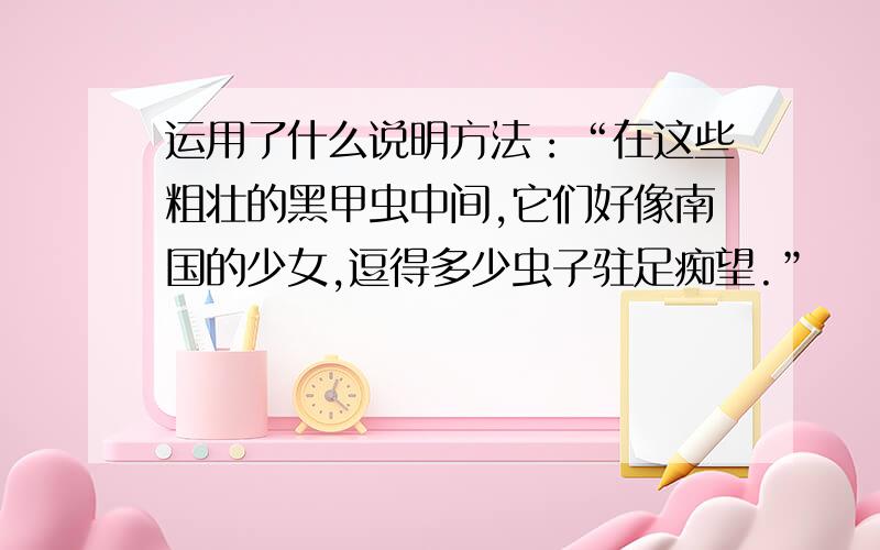 运用了什么说明方法：“在这些粗壮的黑甲虫中间,它们好像南国的少女,逗得多少虫子驻足痴望.”