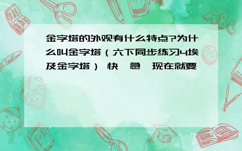 金字塔的外观有什么特点?为什么叫金字塔（六下同步练习4埃及金字塔） 快,急,现在就要