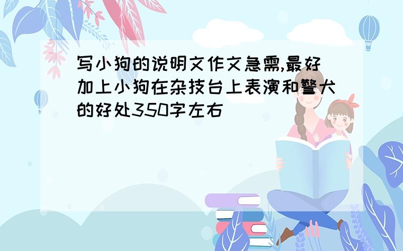 写小狗的说明文作文急需,最好加上小狗在杂技台上表演和警犬的好处350字左右