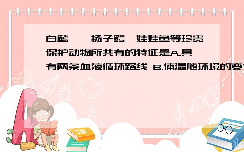 白鳍豚、扬子鳄、娃娃鱼等珍贵保护动物所共有的特征是A.具有两条血液循环路线 B.体温随环境的变化而变化 C.生殖发育离不开水的限制 D.幼体用鳃呼吸,成体用肺呼吸