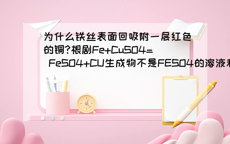 为什么铁丝表面回吸附一层红色的铜?根剧Fe+CuSO4= FeSO4+CU生成物不是FESO4的溶液和铜固体吗?铁反应掉了把,为什么还会有铜吸覆在上面