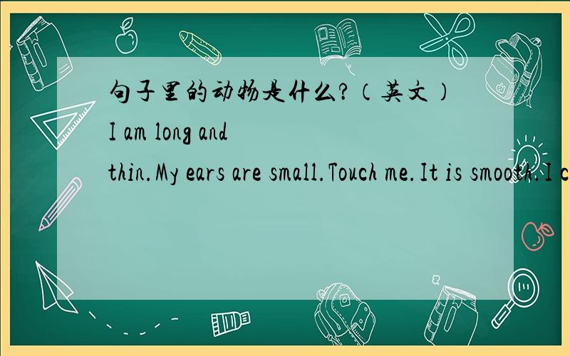 句子里的动物是什么?（英文）I am long and thin.My ears are small.Touch me.It is smooth.I can,t(can not) sit down.I like small animals.I am__________