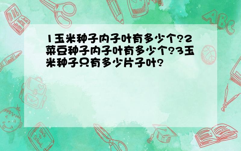 1玉米种子内子叶有多少个?2菜豆种子内子叶有多少个?3玉米种子只有多少片子叶?