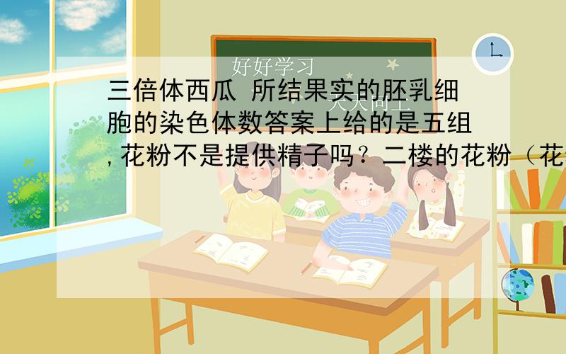 三倍体西瓜 所结果实的胚乳细胞的染色体数答案上给的是五组,花粉不是提供精子吗？二楼的花粉（花粉为两个单倍体极核）何意？