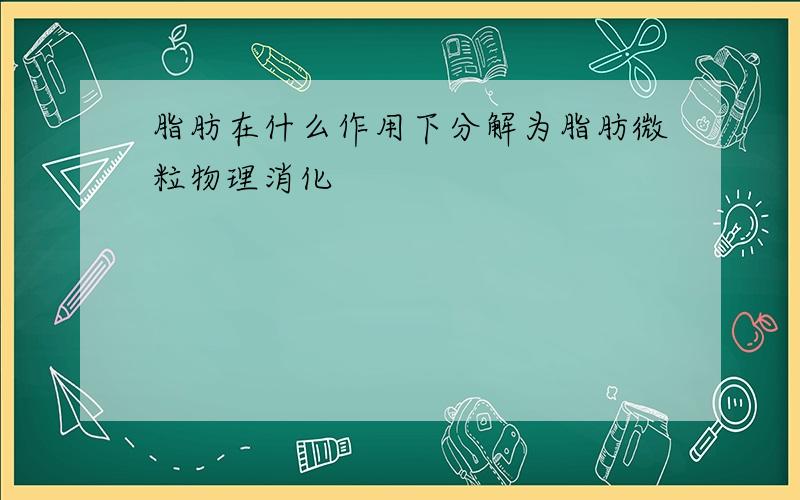 脂肪在什么作用下分解为脂肪微粒物理消化