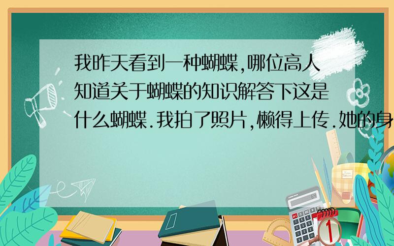 我昨天看到一种蝴蝶,哪位高人知道关于蝴蝶的知识解答下这是什么蝴蝶.我拍了照片,懒得上传.她的身体,注意是身体不是翅膀哦,是大红色的.翅膀是黑色灰色那种很整齐的条纹的.昨天看到的,