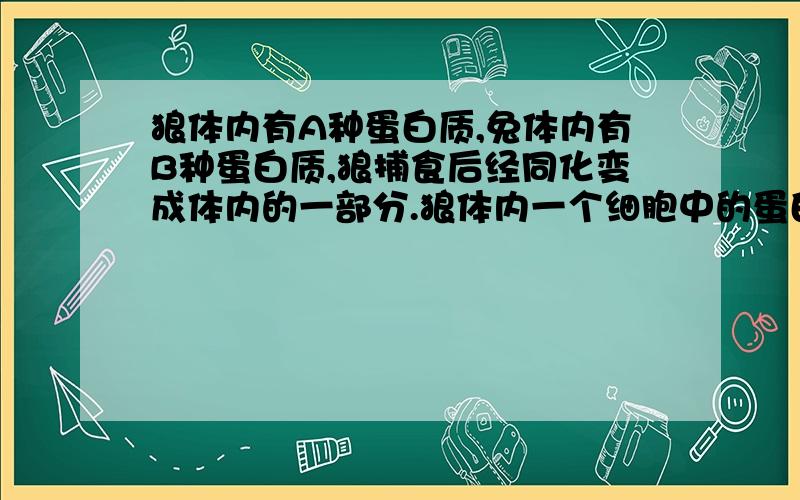 狼体内有A种蛋白质,兔体内有B种蛋白质,狼捕食后经同化变成体内的一部分.狼体内一个细胞中的蛋白质种类和氨基酸种类最可能是A.A+B,20 B.A,20C.>A,20 D.