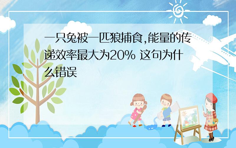 一只兔被一匹狼捕食,能量的传递效率最大为20% 这句为什么错误