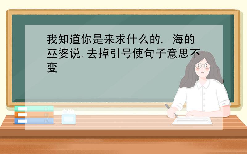 我知道你是来求什么的. 海的巫婆说.去掉引号使句子意思不变