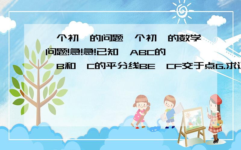 一个初一的问题一个初一的数学问题!急!急!已知△ABC的∠B和∠C的平分线BE,CF交于点G.求证;∠BGC=90°+1/2∠A