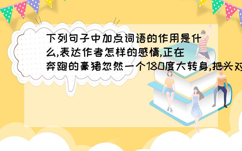 下列句子中加点词语的作用是什么,表达作者怎样的感情,正在奔跑的豪猪忽然一个180度大转身,把头对准了正迎头赶上的猎豹.