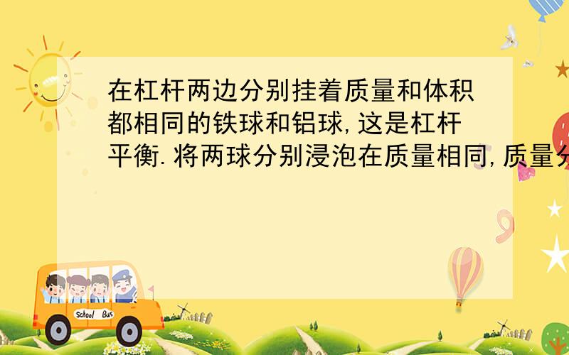 在杠杆两边分别挂着质量和体积都相同的铁球和铝球,这是杠杆平衡.将两球分别浸泡在质量相同,质量分数也相同的稀硫酸中,直到两个烧杯中没有气泡产生为止.两球的外形变化不大且无孔洞