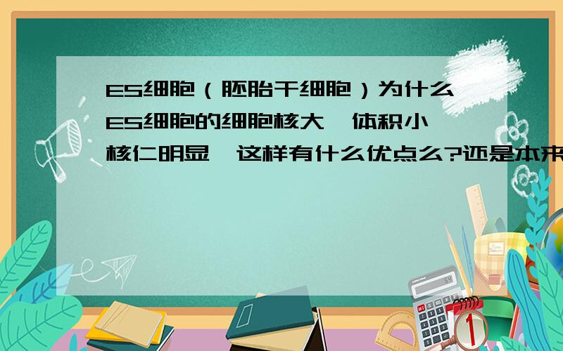 ES细胞（胚胎干细胞）为什么ES细胞的细胞核大,体积小,核仁明显,这样有什么优点么?还是本来就那样?