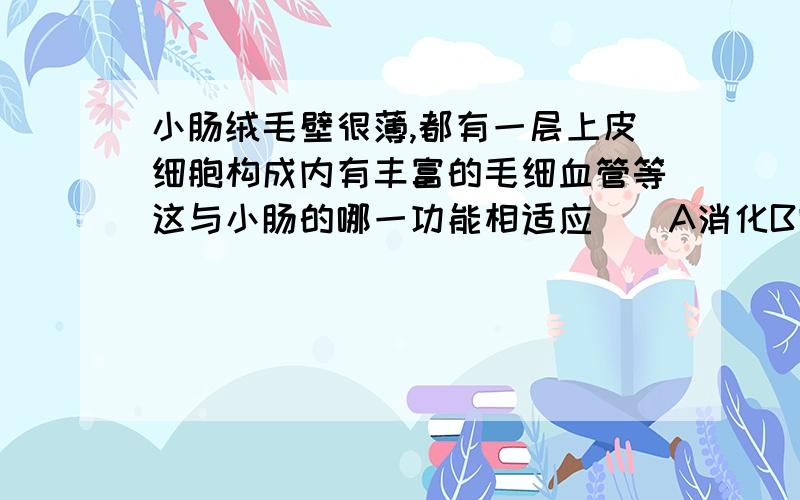 小肠绒毛壁很薄,都有一层上皮细胞构成内有丰富的毛细血管等这与小肠的哪一功能相适应（）A消化B吸收C蠕动 D.ABC都是