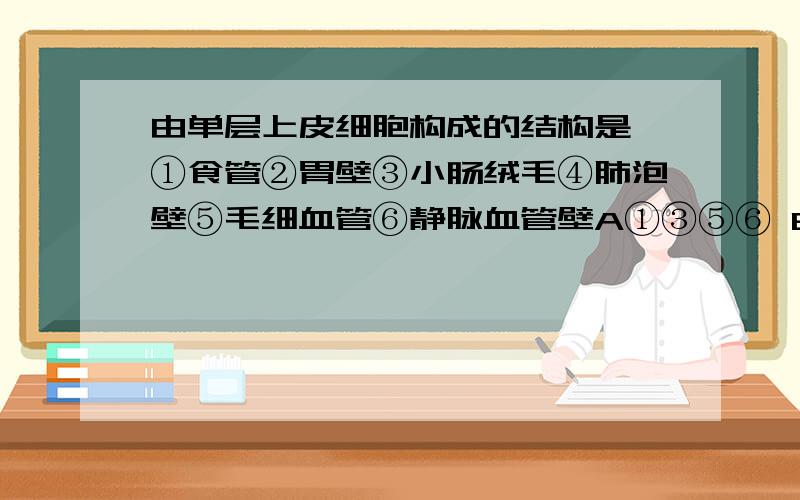 由单层上皮细胞构成的结构是 ①食管②胃壁③小肠绒毛④肺泡壁⑤毛细血管⑥静脉血管壁A①③⑤⑥ B③④⑤ C①②③ D④⑤⑥