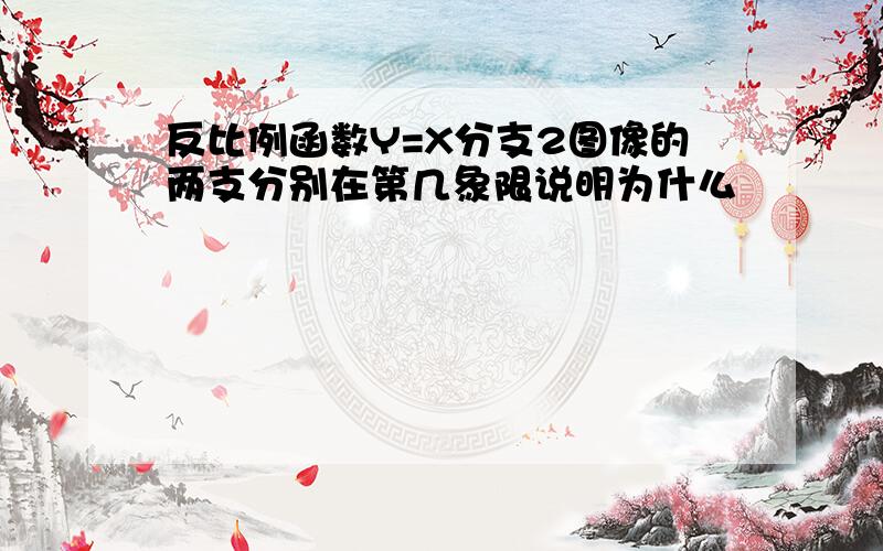 反比例函数Y=X分支2图像的两支分别在第几象限说明为什么