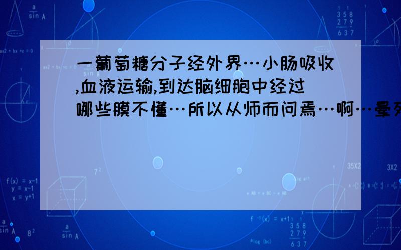 一葡萄糖分子经外界…小肠吸收,血液运输,到达脑细胞中经过哪些膜不懂…所以从师而问焉…啊…晕死…要经过很多的好不好啊…比如毛细血管壁等…