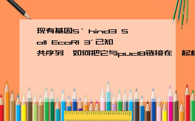 现有基因5‘ hind3 Sa1I EcoR1 3’已知共序列,如何把它与puc18链接在一起构成重组质粒?至少用两种方法.