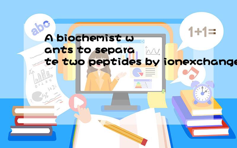 A biochemist wants to separate two peptides by ionexchange chromatography.At the pH of the mobile phase to be used on the column,one peptide (A) has a net charge of \53,due to the presence of more Glu and Asp residues than Arg,Lys,and His residues.Pe