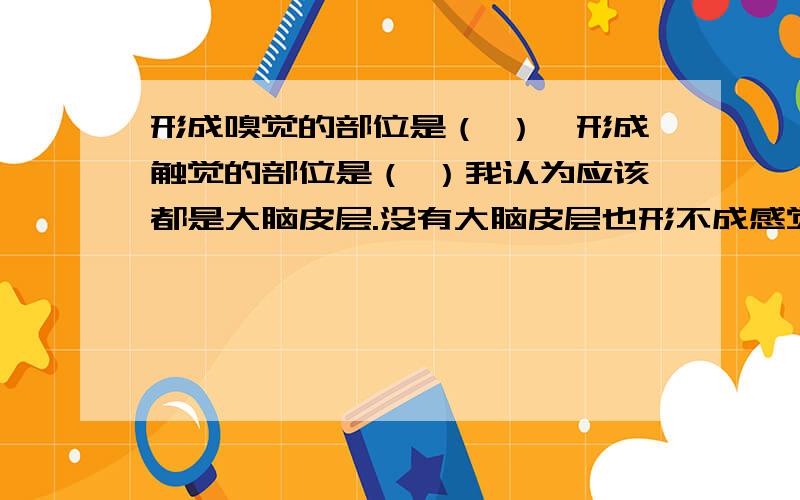 形成嗅觉的部位是（ ）、形成触觉的部位是（ ）我认为应该都是大脑皮层.没有大脑皮层也形不成感觉啊.