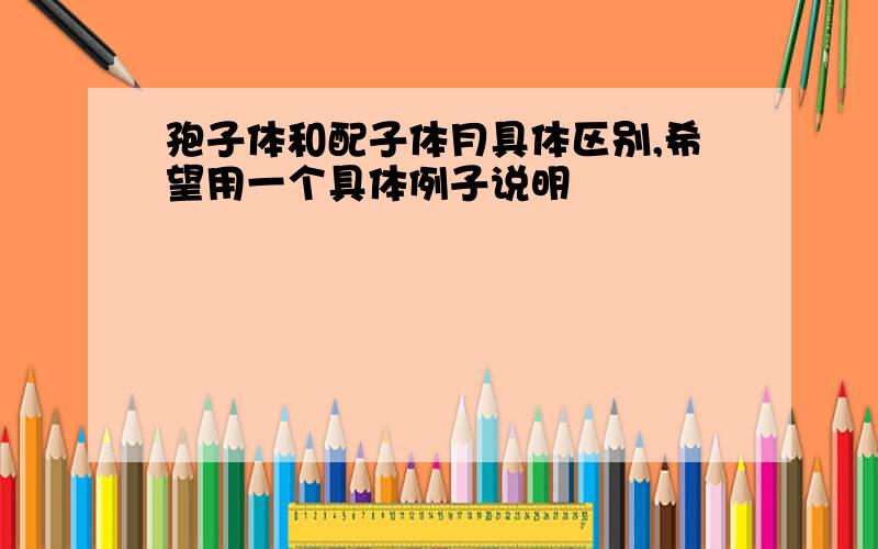 孢子体和配子体月具体区别,希望用一个具体例子说明