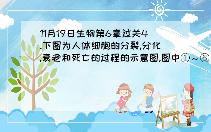 11月19日生物第6章过关4.下图为人体细胞的分裂,分化,衰老和死亡的过程的示意图,图中①～⑥为各个时期的细胞,a～c表示细胞所进行的生理过程,据图分析,下列叙述正确的是A．⑤与⑥的基因组