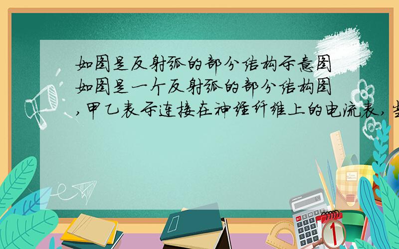 如图是反射弧的部分结构示意图如图是一个反射弧的部分结构图,甲乙表示连接在神经纤维上的电流表,当在A点以一定的电刺激,甲乙电流表的指针发生的变化正确的是?A：甲乙都发生两次方向