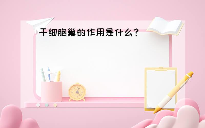 干细胞巢的作用是什么?