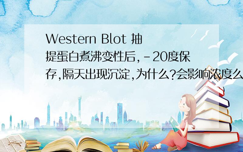 Western Blot 抽提蛋白煮沸变性后,-20度保存,隔天出现沉淀,为什么?会影响浓度么？