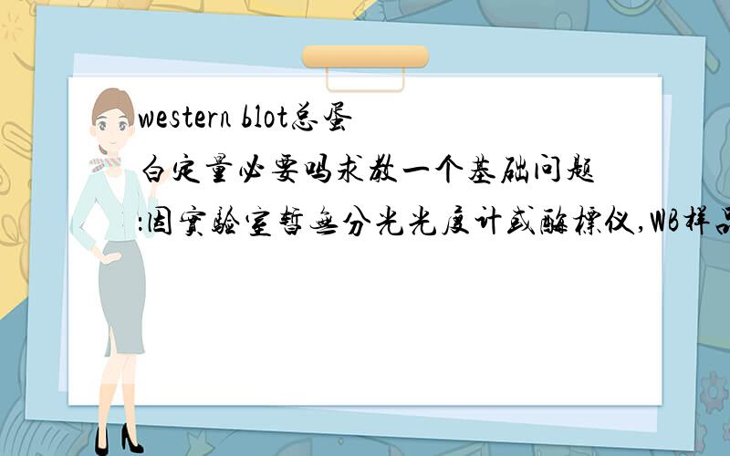 western blot总蛋白定量必要吗求教一个基础问题：因实验室暂无分光光度计或酶标仪,WB样品不定量行吗?定量完了总蛋白量少的样品加BSA补齐的话,内参和目的蛋白的量是不变的啊,或者各孔蛋白