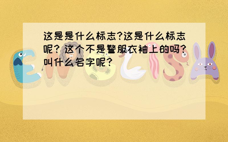 这是是什么标志?这是什么标志呢？这个不是警服衣袖上的吗？叫什么名字呢？