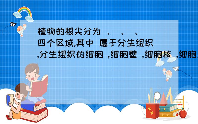 植物的根尖分为 、 、 、 四个区域,其中 属于分生组织,分生组织的细胞 ,细胞壁 ,细胞核 ,细胞质 ,具有很强的 能力,能够不断产生 ,再由这些细胞 形成其他组织.