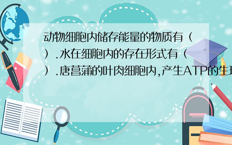 动物细胞内储存能量的物质有（）.水在细胞内的存在形式有（）.唐菖蒲的叶肉细胞内,产生ATP的生理动物细胞内储存能量的物质有（）.水在细胞内的存在形式有（）.唐菖蒲的叶肉细胞内,产