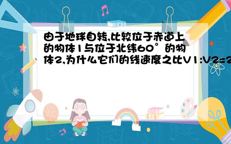 由于地球自转,比较位于赤道上的物体1与位于北纬60°的物体2,为什么它们的线速度之比V1:V2=2:1,