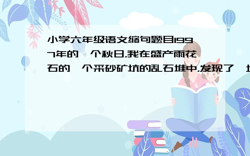 小学六年级语文缩句题目1997年的一个秋日，我在盛产雨花石的一个采砂矿坑的乱石堆中，发现了一块黝黑的雨花石。（缩句）