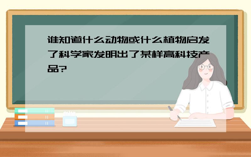 谁知道什么动物或什么植物启发了科学家发明出了某样高科技产品?