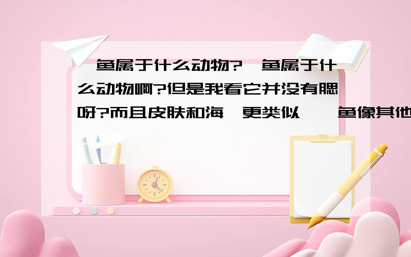 鲨鱼属于什么动物?鲨鱼属于什么动物啊?但是我看它并没有腮呀?而且皮肤和海豚更类似,鲨鱼像其他鱼类那样?是体外受精繁育后代的吗?