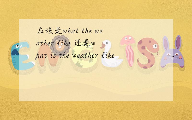 应该是what the weather like 还是what is the weather like