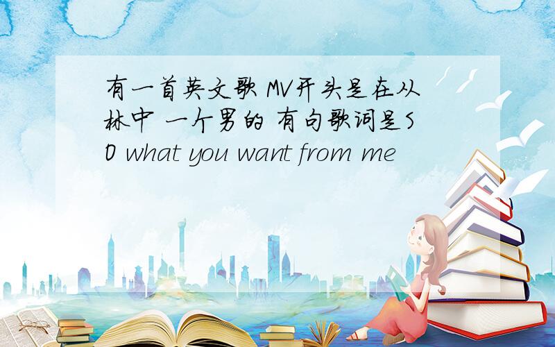 有一首英文歌 MV开头是在从林中 一个男的 有句歌词是SO what you want from me