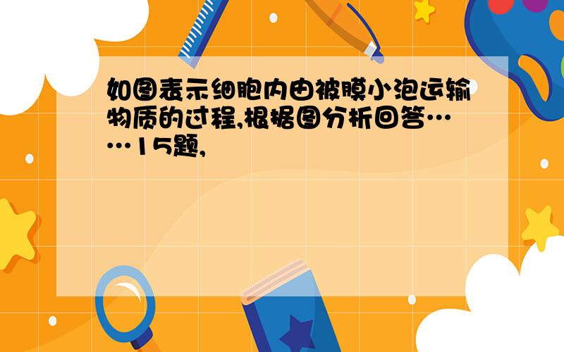 如图表示细胞内由被膜小泡运输物质的过程,根据图分析回答……15题,