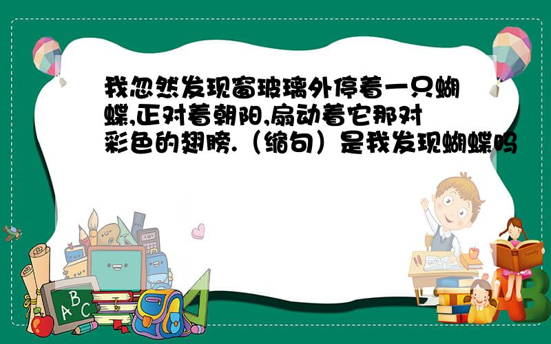 我忽然发现窗玻璃外停着一只蝴蝶,正对着朝阳,扇动着它那对彩色的翅膀.（缩句）是我发现蝴蝶吗