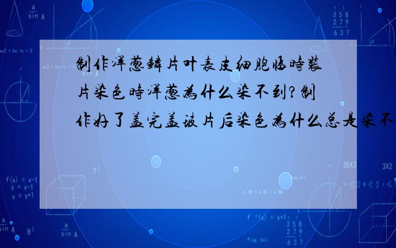 制作洋葱鳞片叶表皮细胞临时装片染色时洋葱为什么染不到?制作好了盖完盖玻片后染色为什么总是染不到洋葱?而周围清水却都染到了?而且染了好多次都染不到洋葱