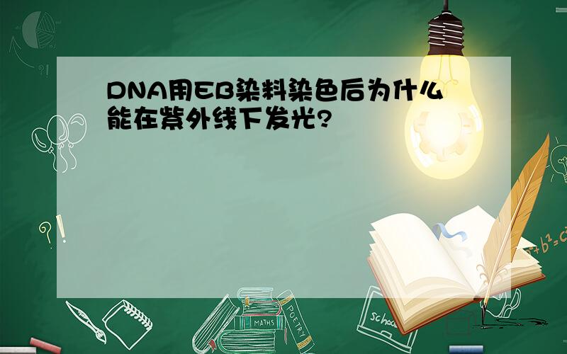 DNA用EB染料染色后为什么能在紫外线下发光?