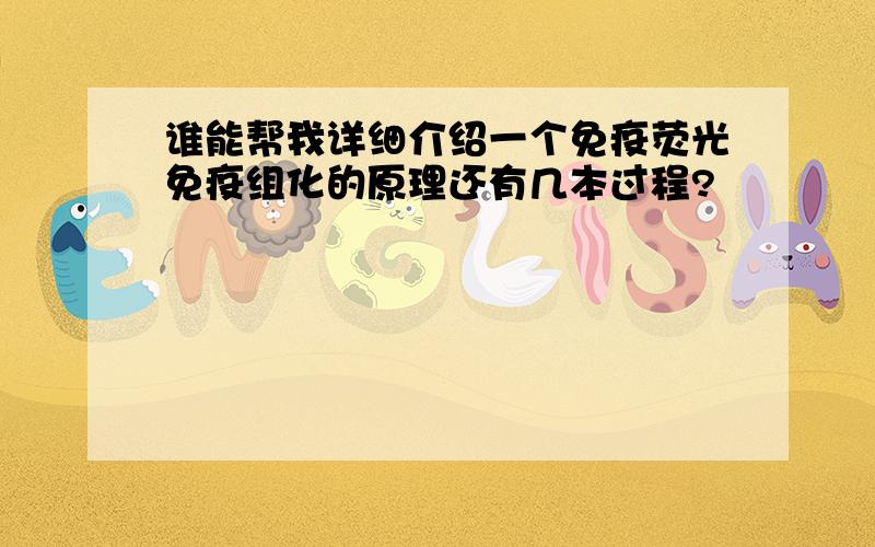 谁能帮我详细介绍一个免疫荧光免疫组化的原理还有几本过程?