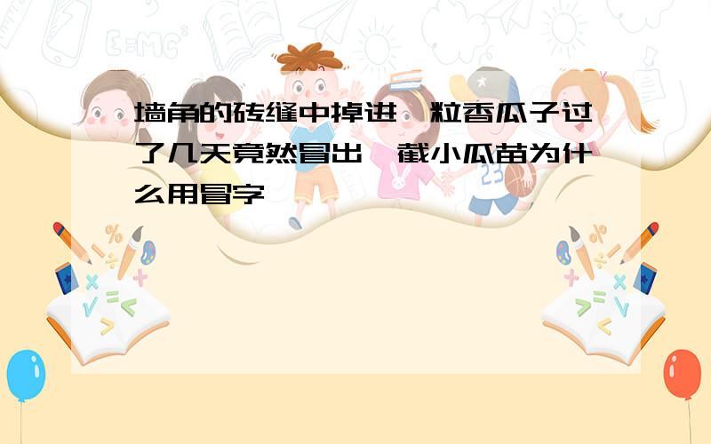 墙角的砖缝中掉进一粒香瓜子过了几天竟然冒出一截小瓜苗为什么用冒字